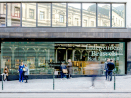 Studio Alexine Sammut