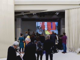 Studio Alexine Sammut