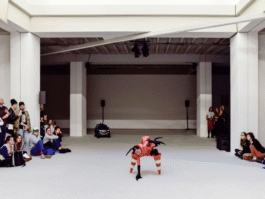 Studio Alexine Sammut