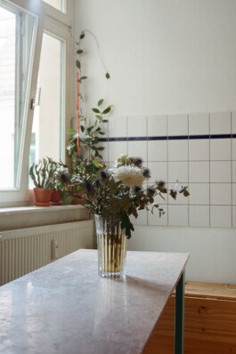 Studio Alexine Sammut